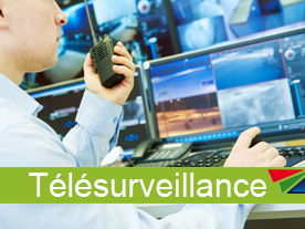 vidéosurveillance et télésurveillance